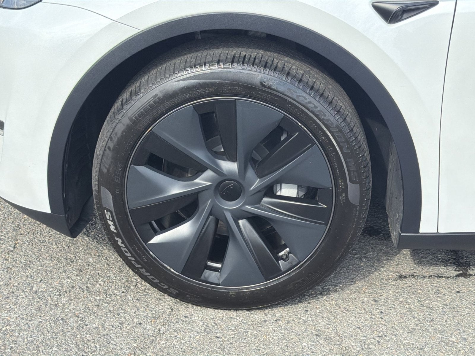 2025 Tesla Model Y Long Range